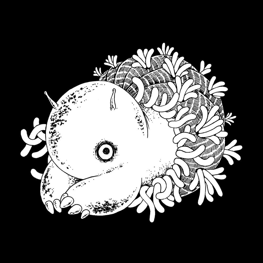 なよなた