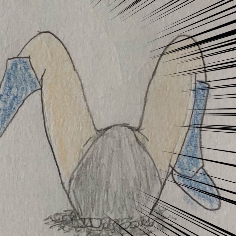 バケカス