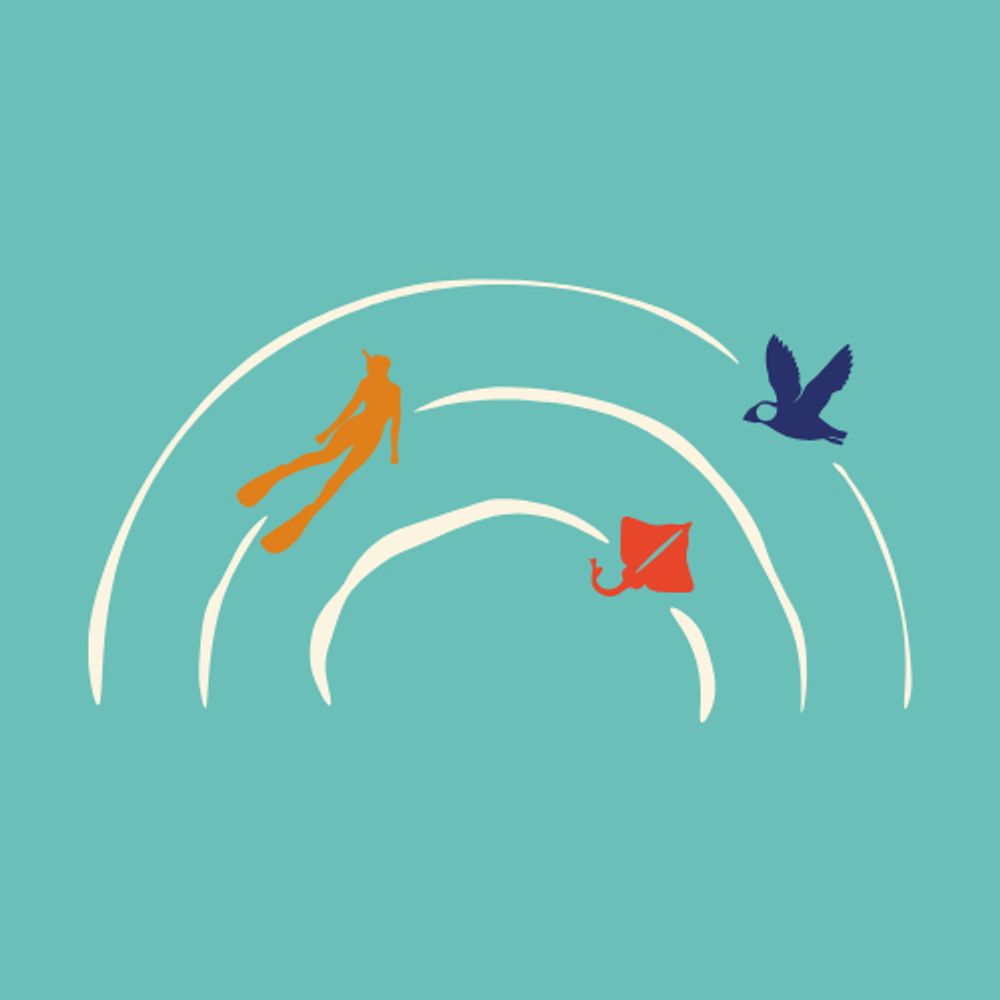 The Protected Areas Foundation