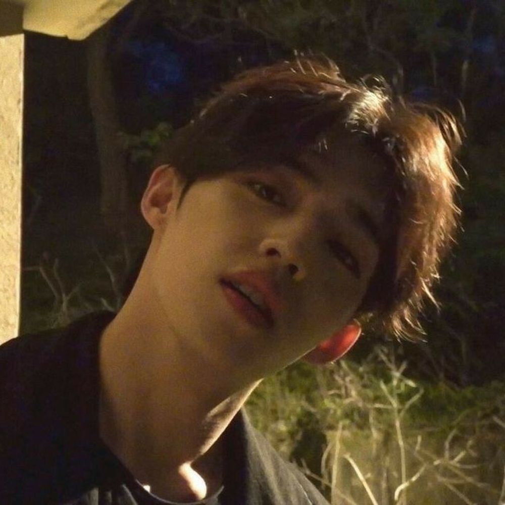 seungcheol | fb yaaww
