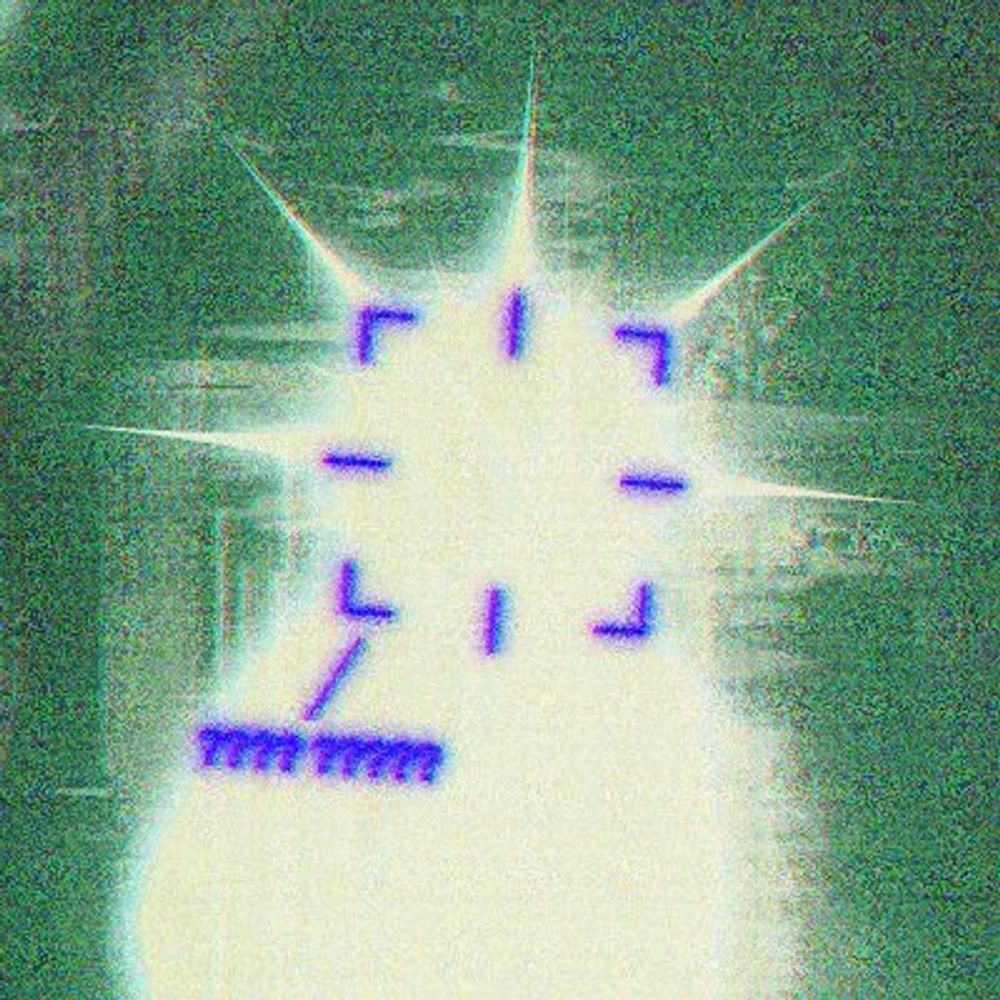 S4leGosse
