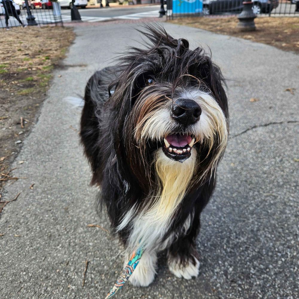 Sybil in The City