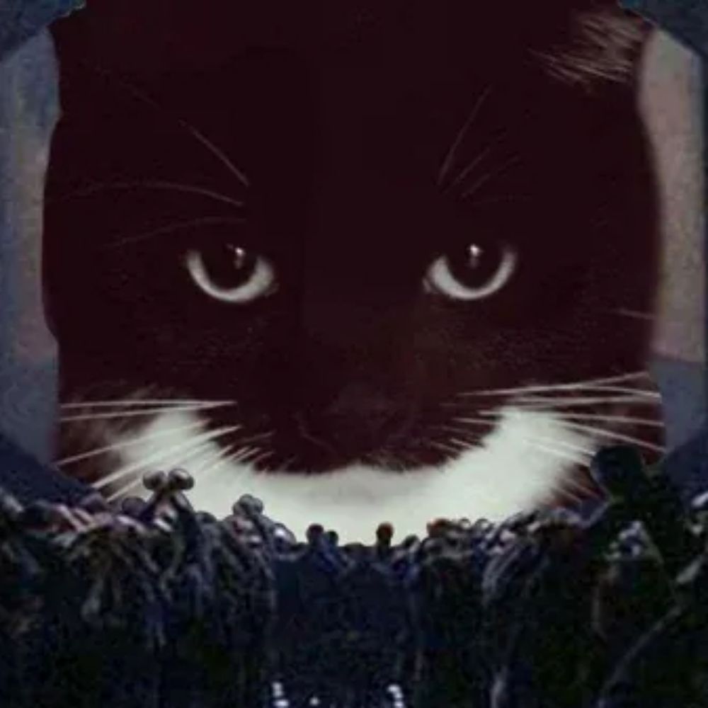 Dingus