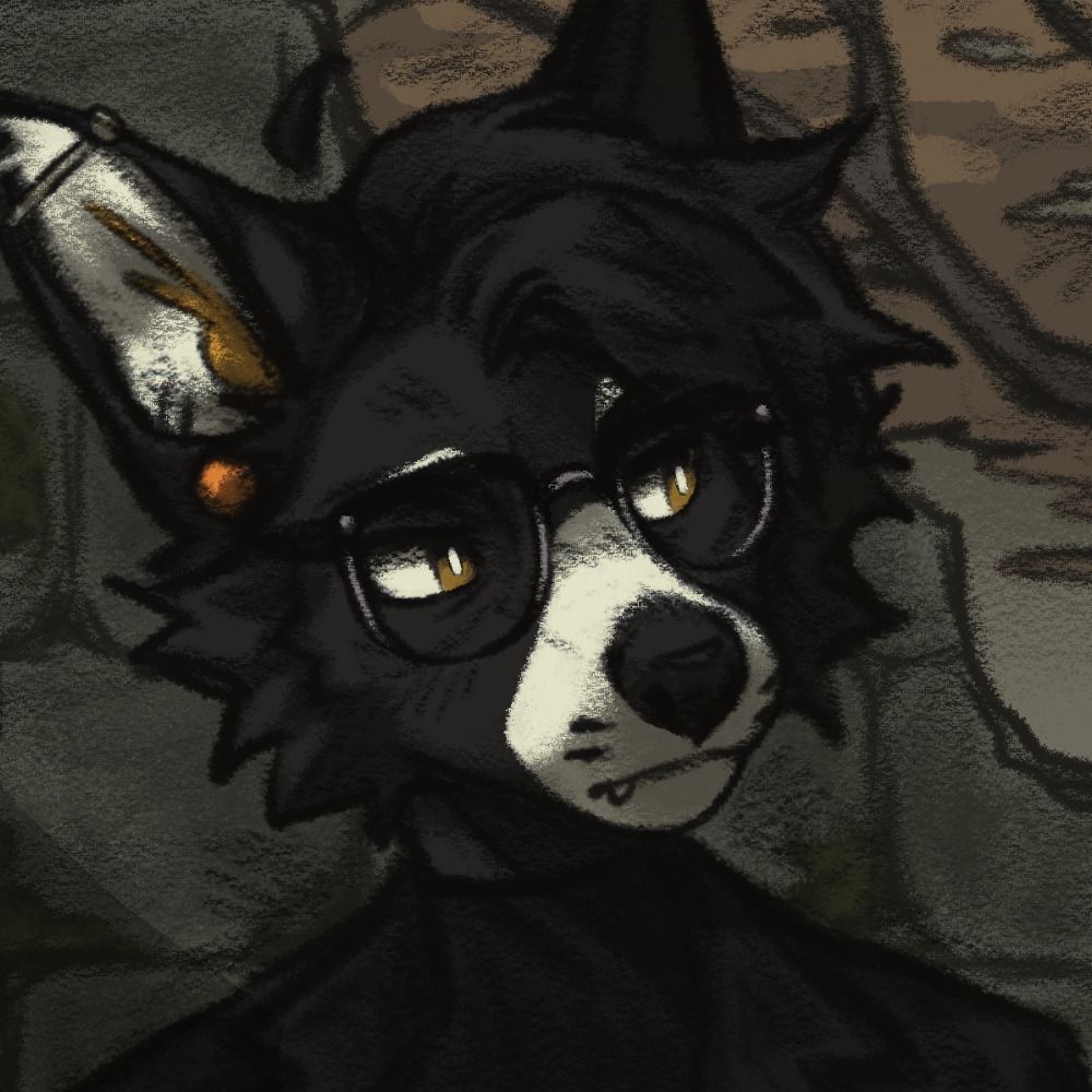 an actual feral dog