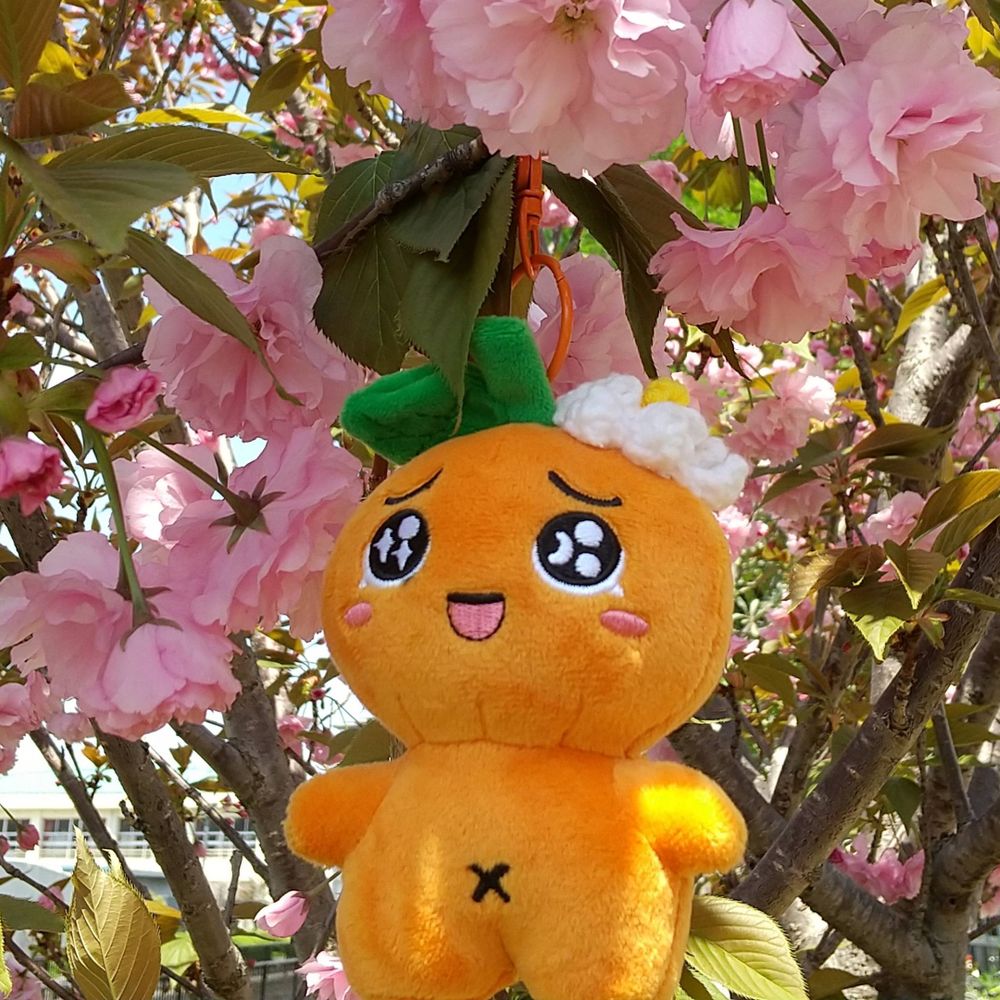 yukitino