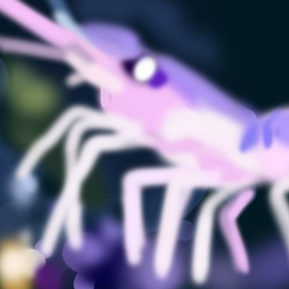 SpaceyPrawn