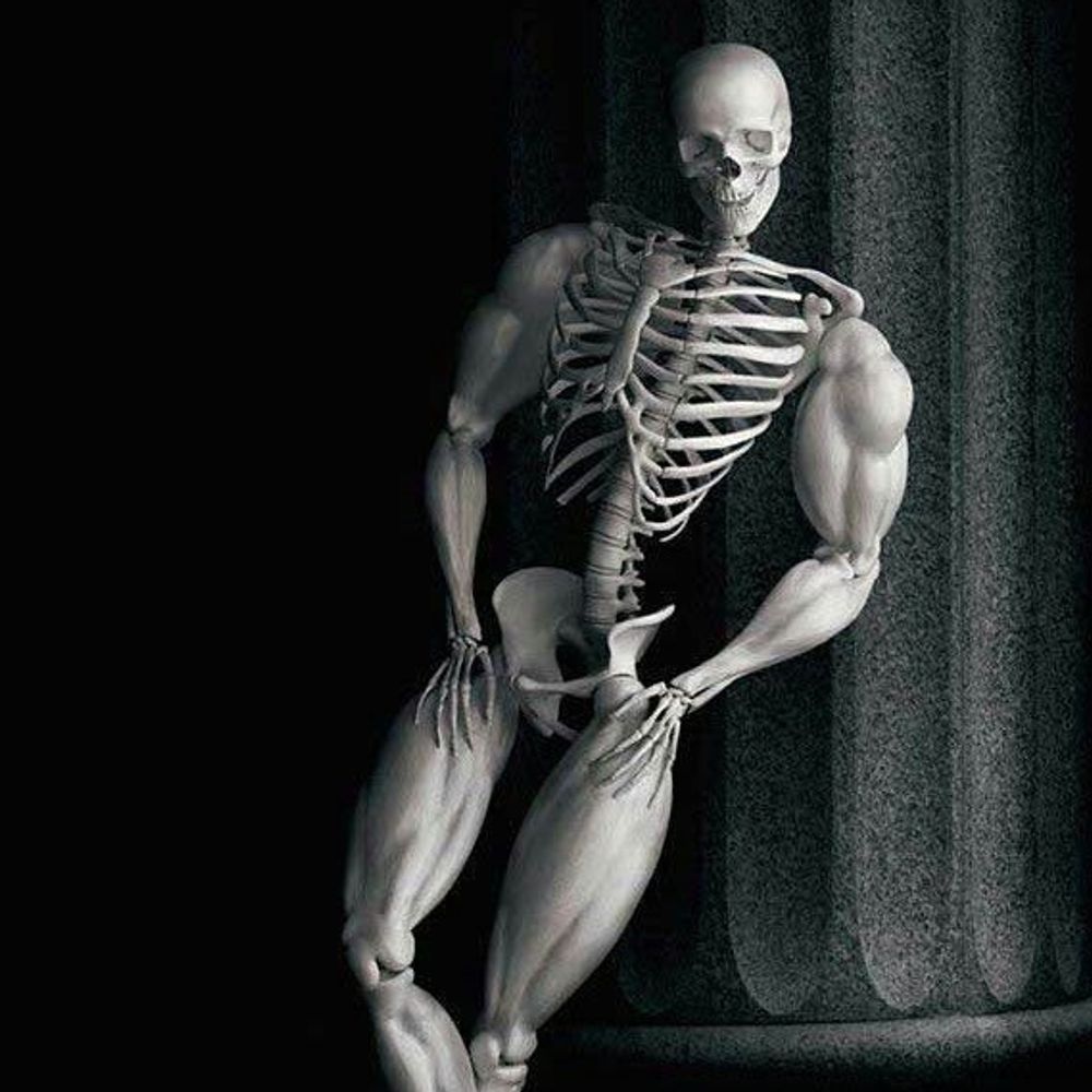 Arli el Esqueletinho 💀