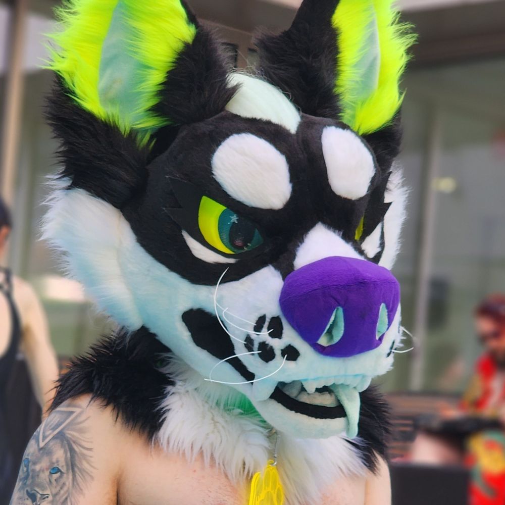 Kazoo~🎷