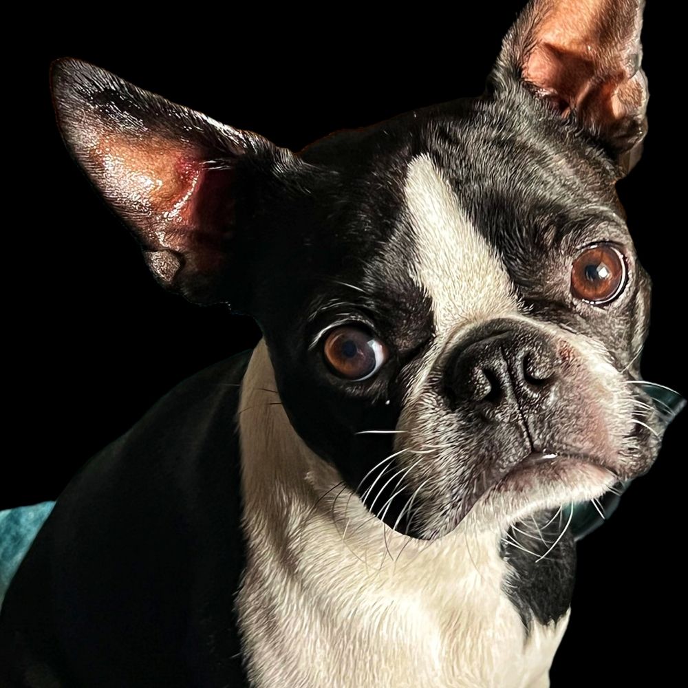 sageskye7.bsky.social profile picture