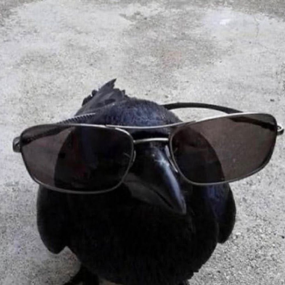 rob