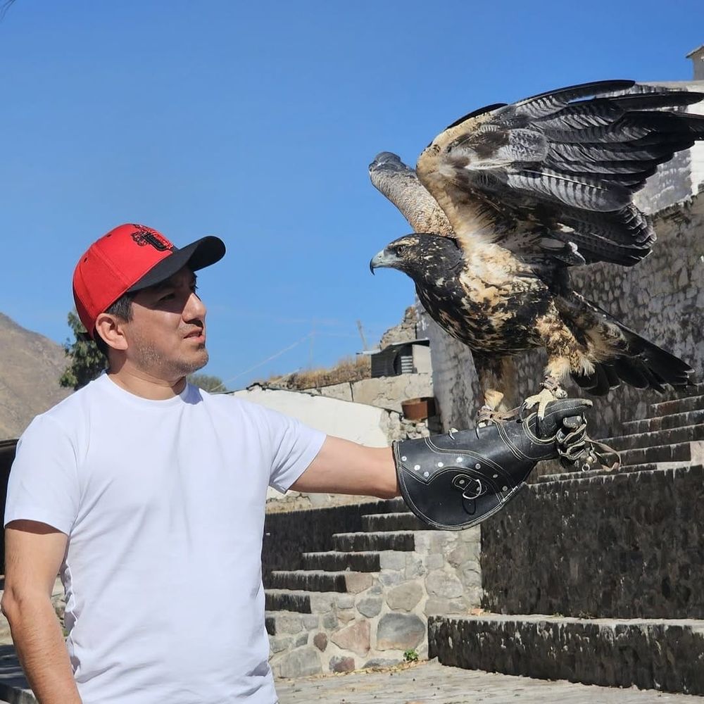Bernardo Theurel