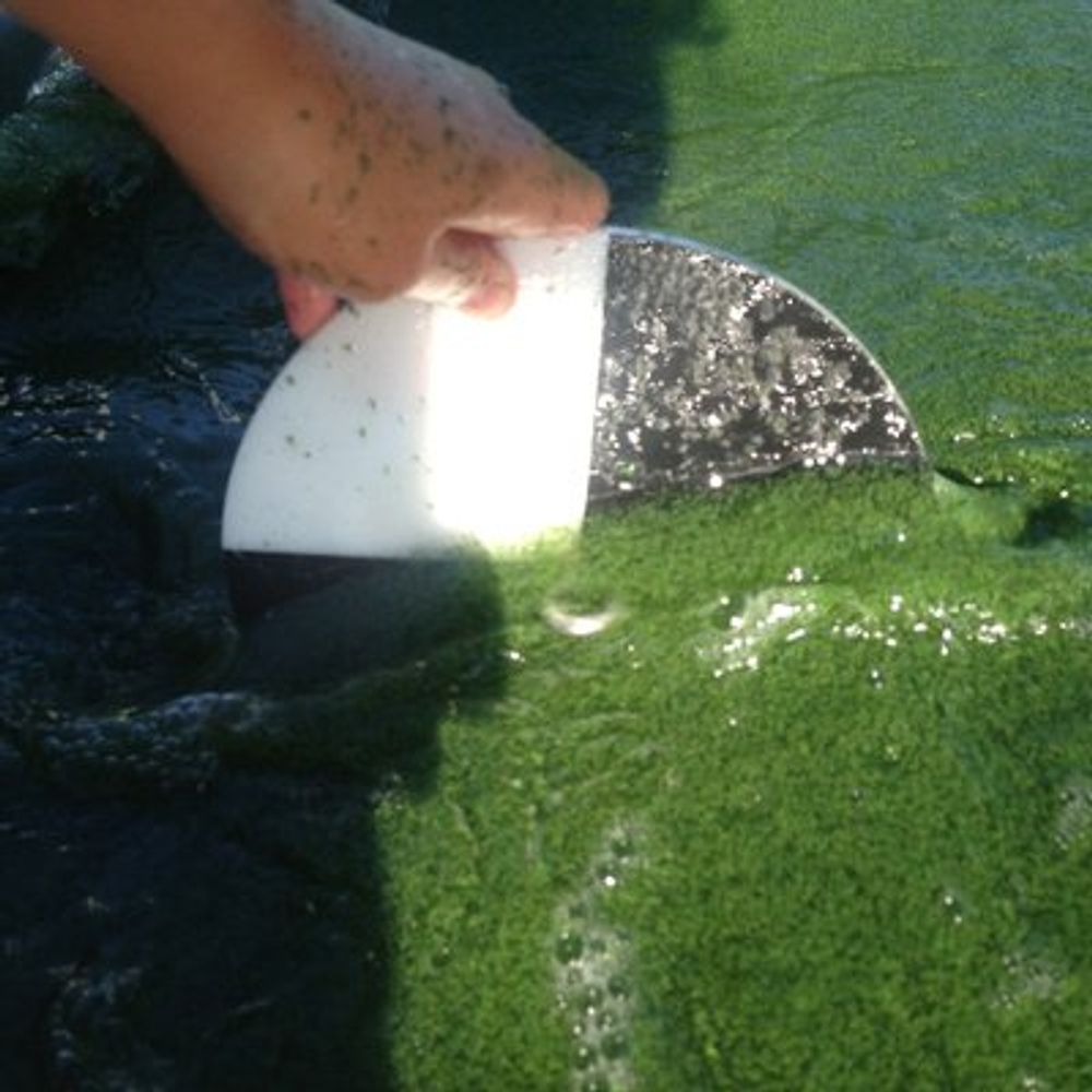 UofR Limnology