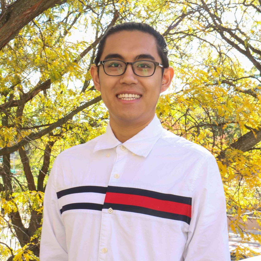 Wei Wang (David)