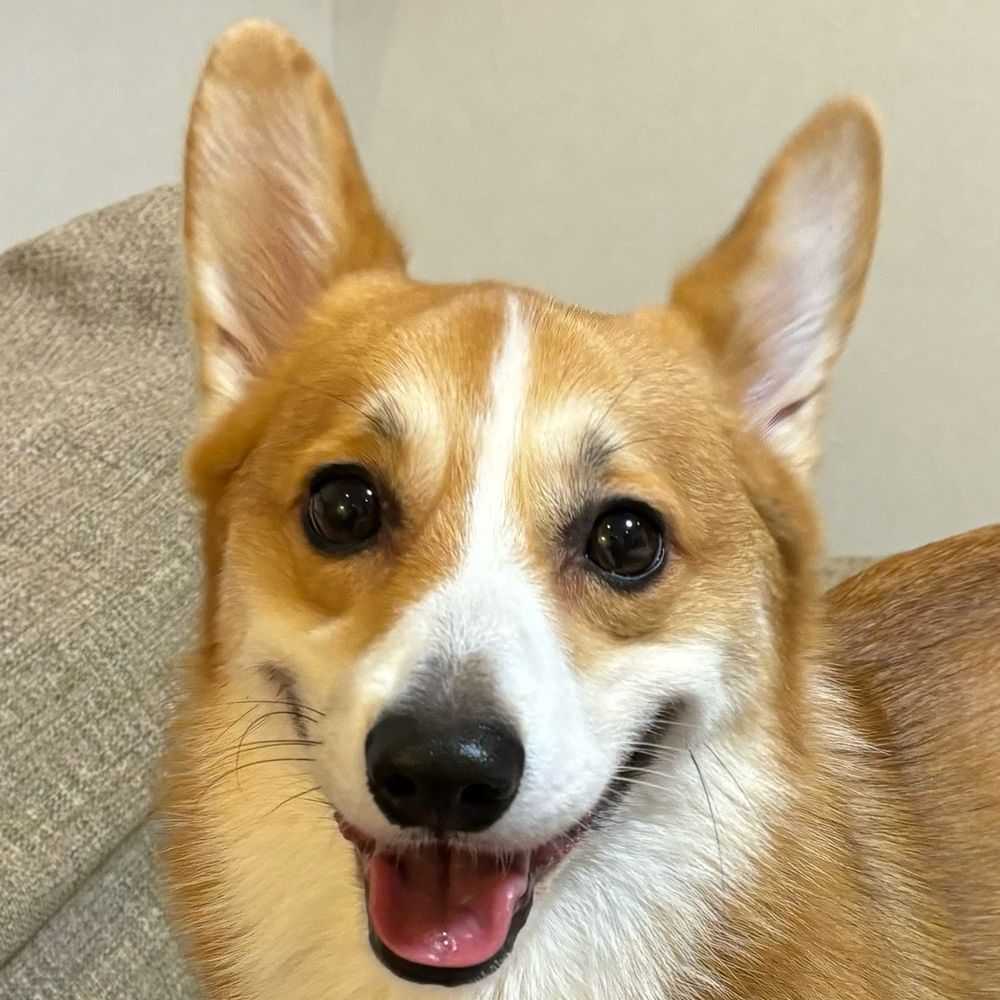 cooper