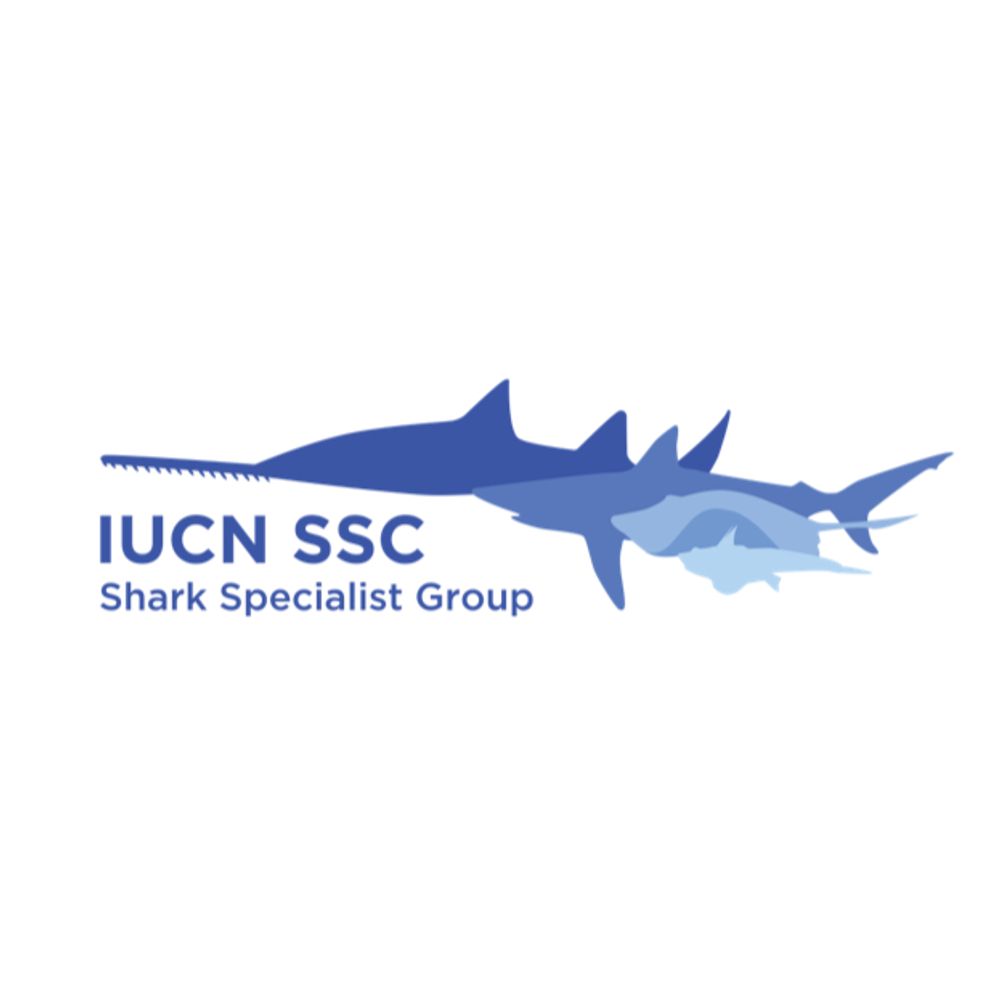 IUCN SSC Shark Specialist Group