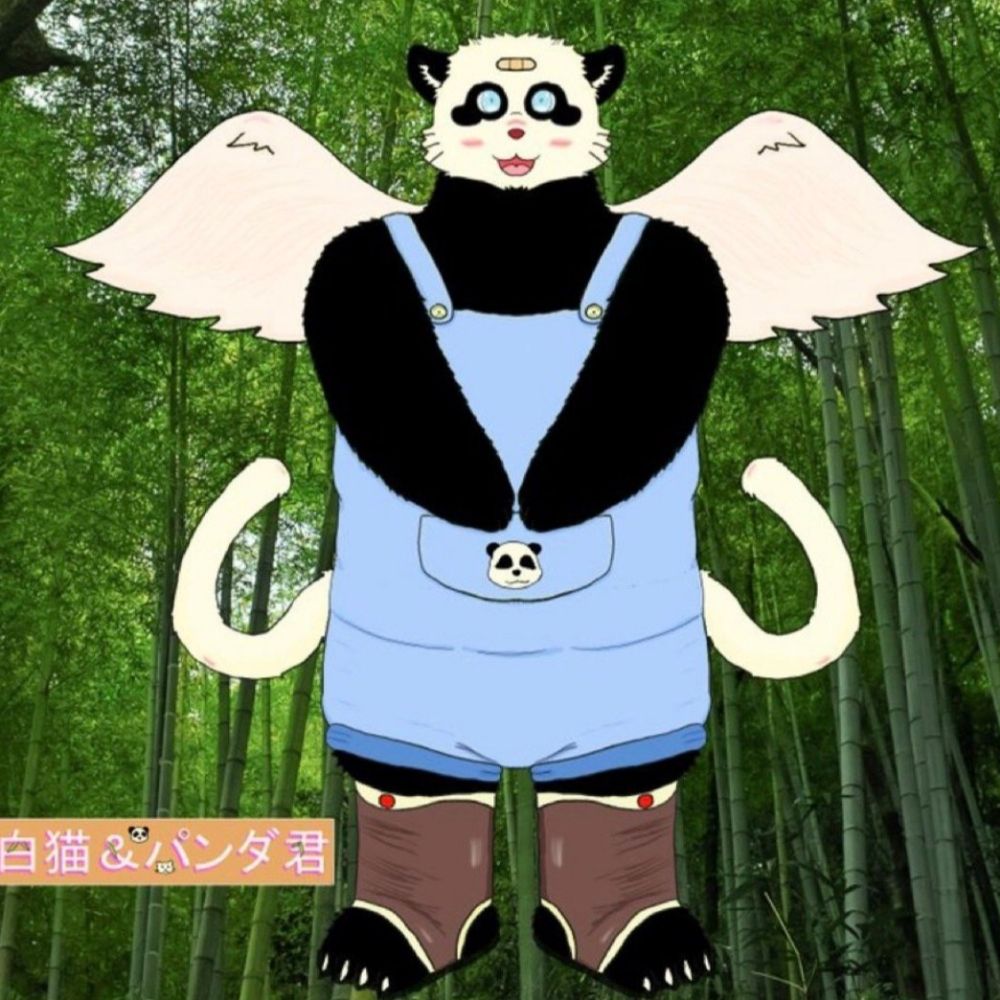 白猫&熊猫