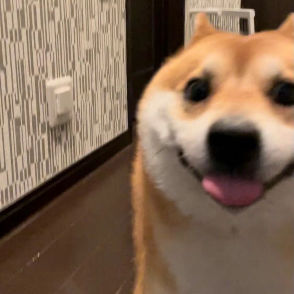 Lupey