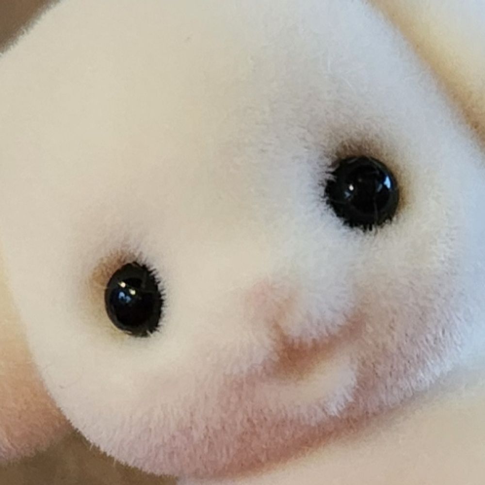 ちゆんこ