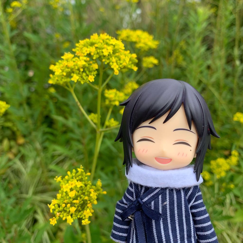 こたつと蜜柑