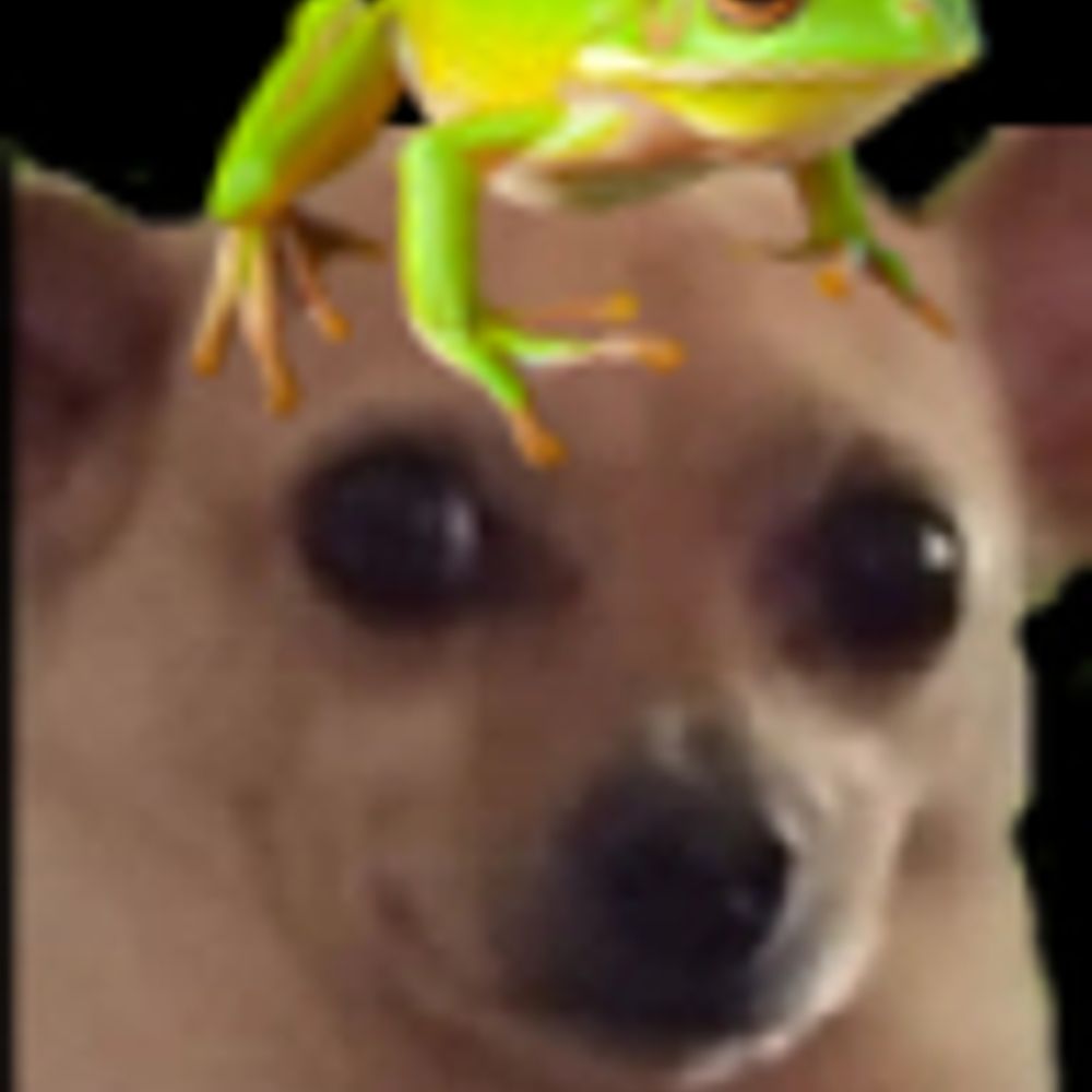 Dandaros