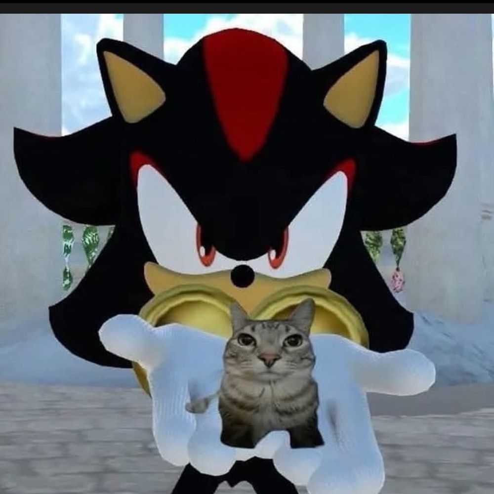 sylvia ⋆｡𖦹°‧★