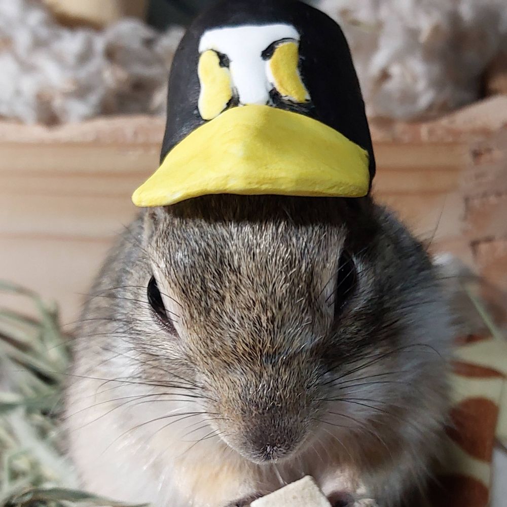 ぐー太郎の飼い主
