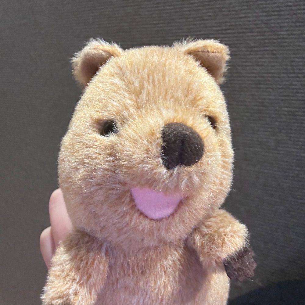 ハムケツ