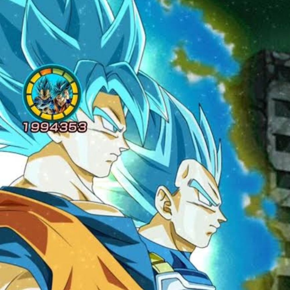 LR AGL SSGSS Goku & Vegeta