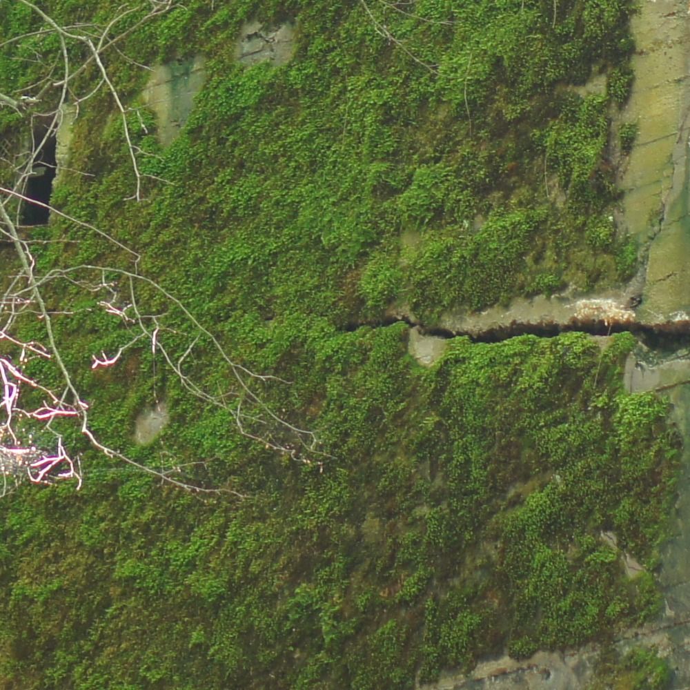 thelamest