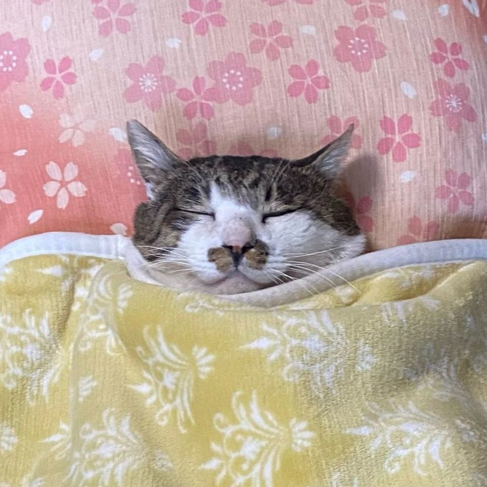 재오