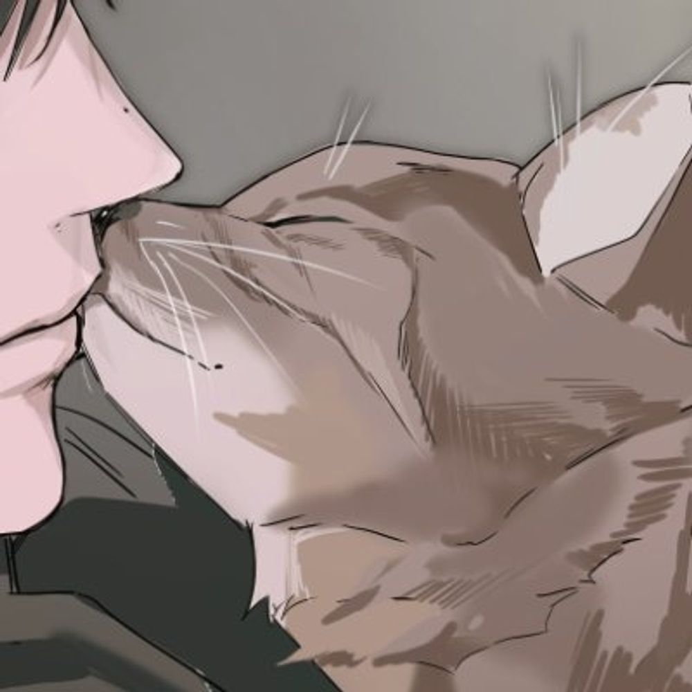 레터