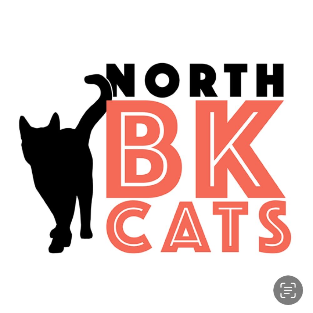 North Brooklyn Cats