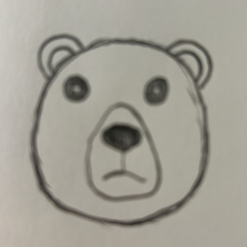Bearish Zine