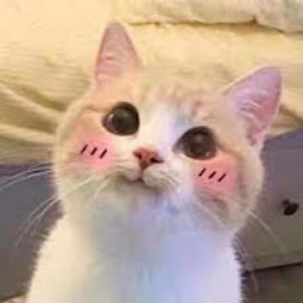 YawningCat