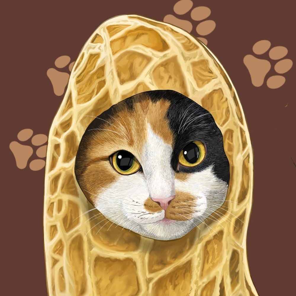 つちねこ🥜ラノベ作家