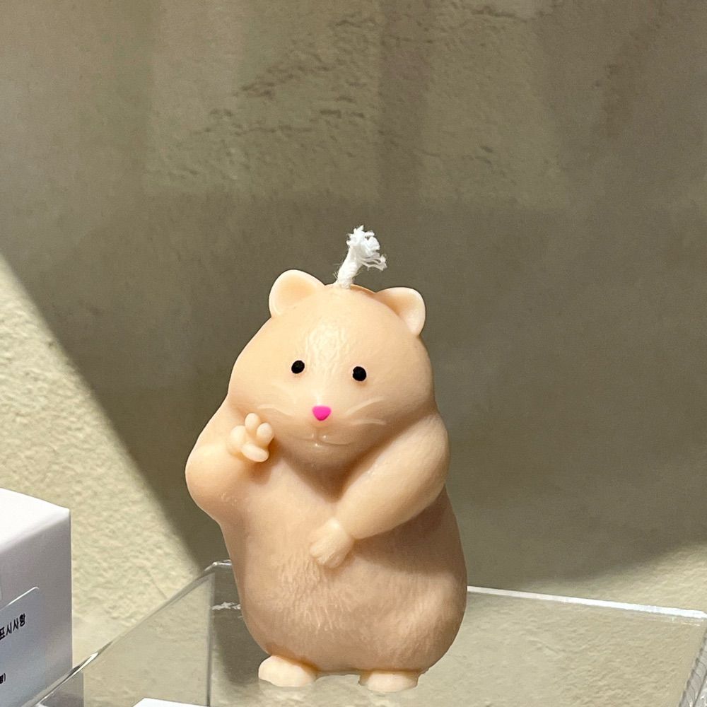 정과