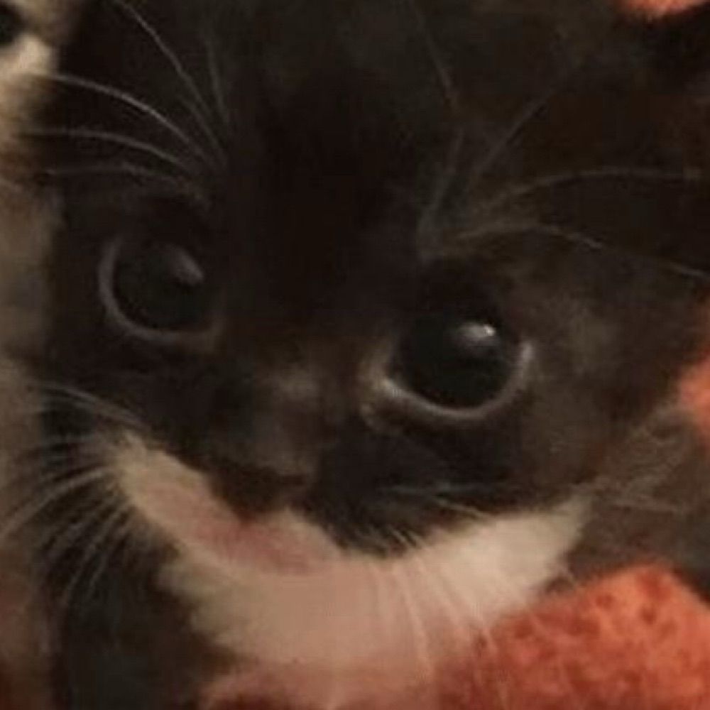 Francisco