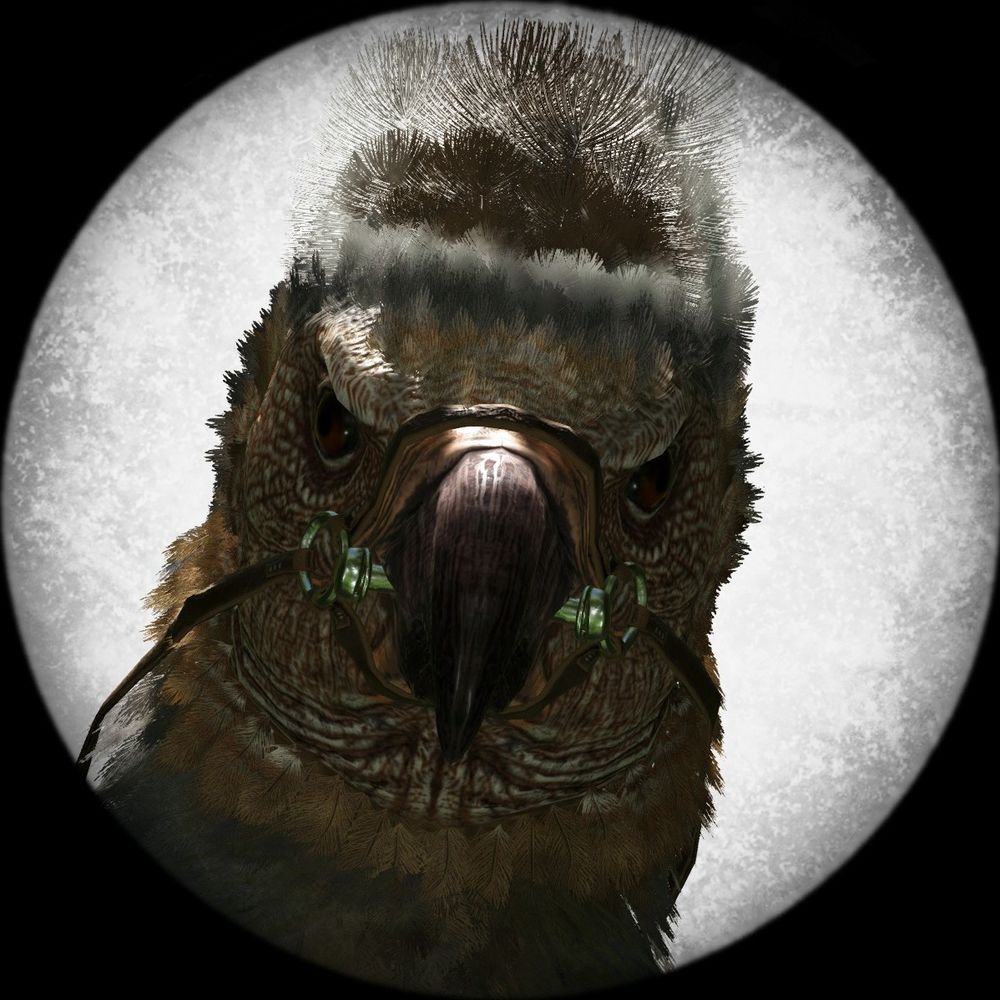 Argentavis