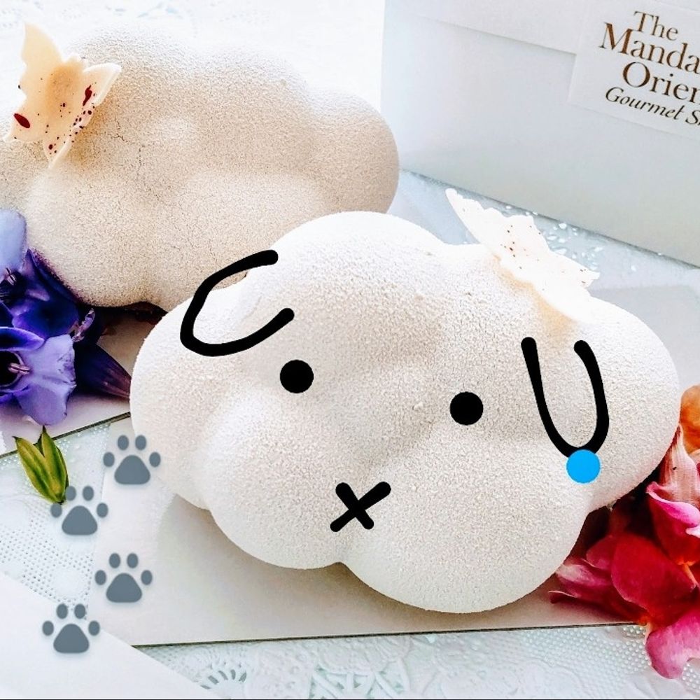 Rฅ^ •ㅅ• ^ฅ🐾IฅU • x • UฅE