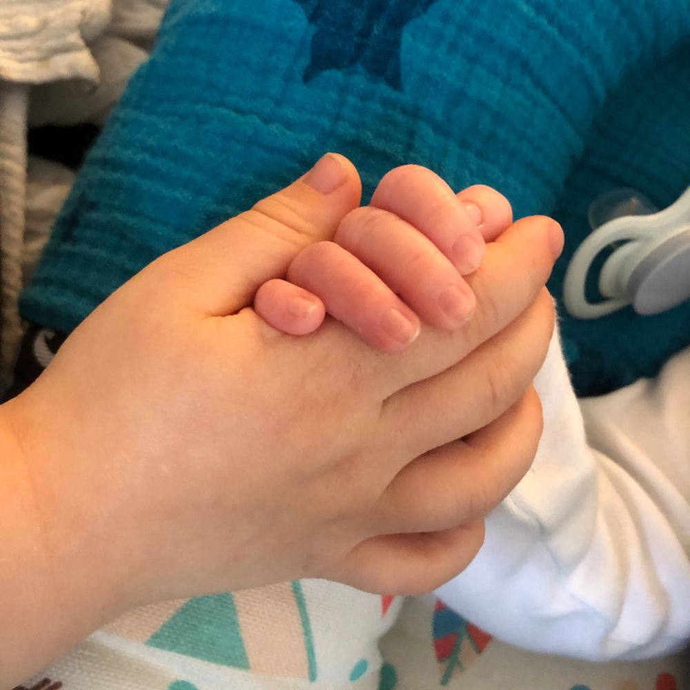 glueckskrabbe.bsky.social