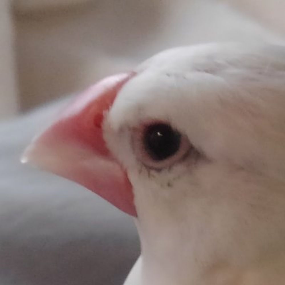やまだあ
