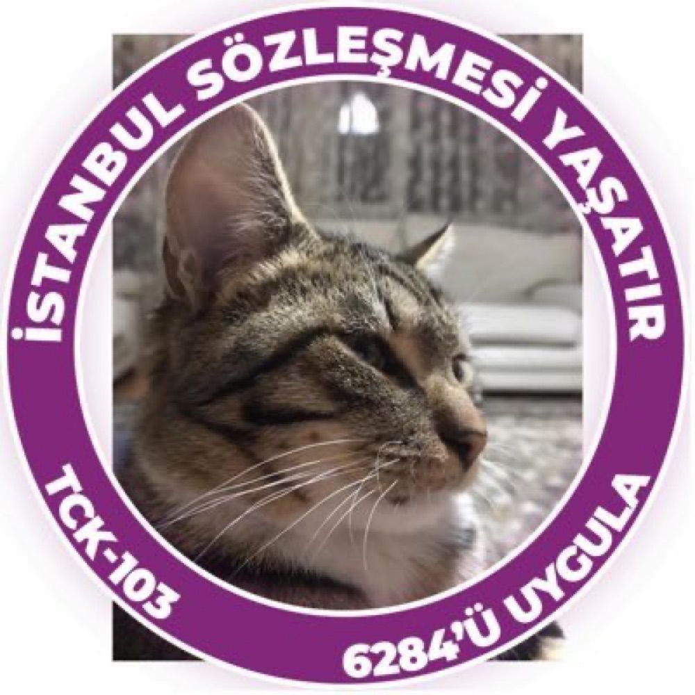 Zeli
