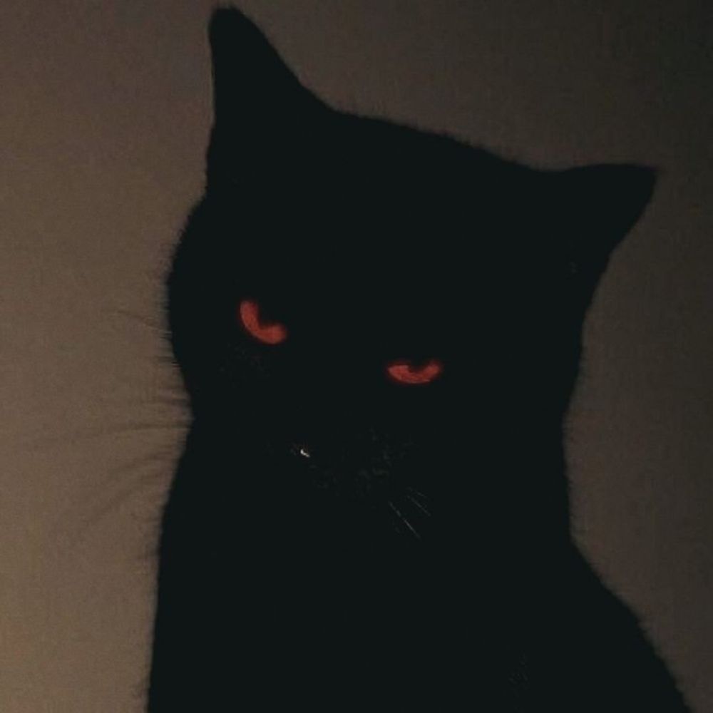 𝖃.𝕽𝖞