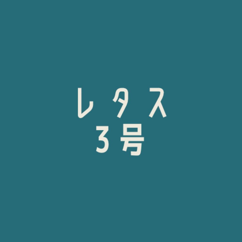 レタス3号