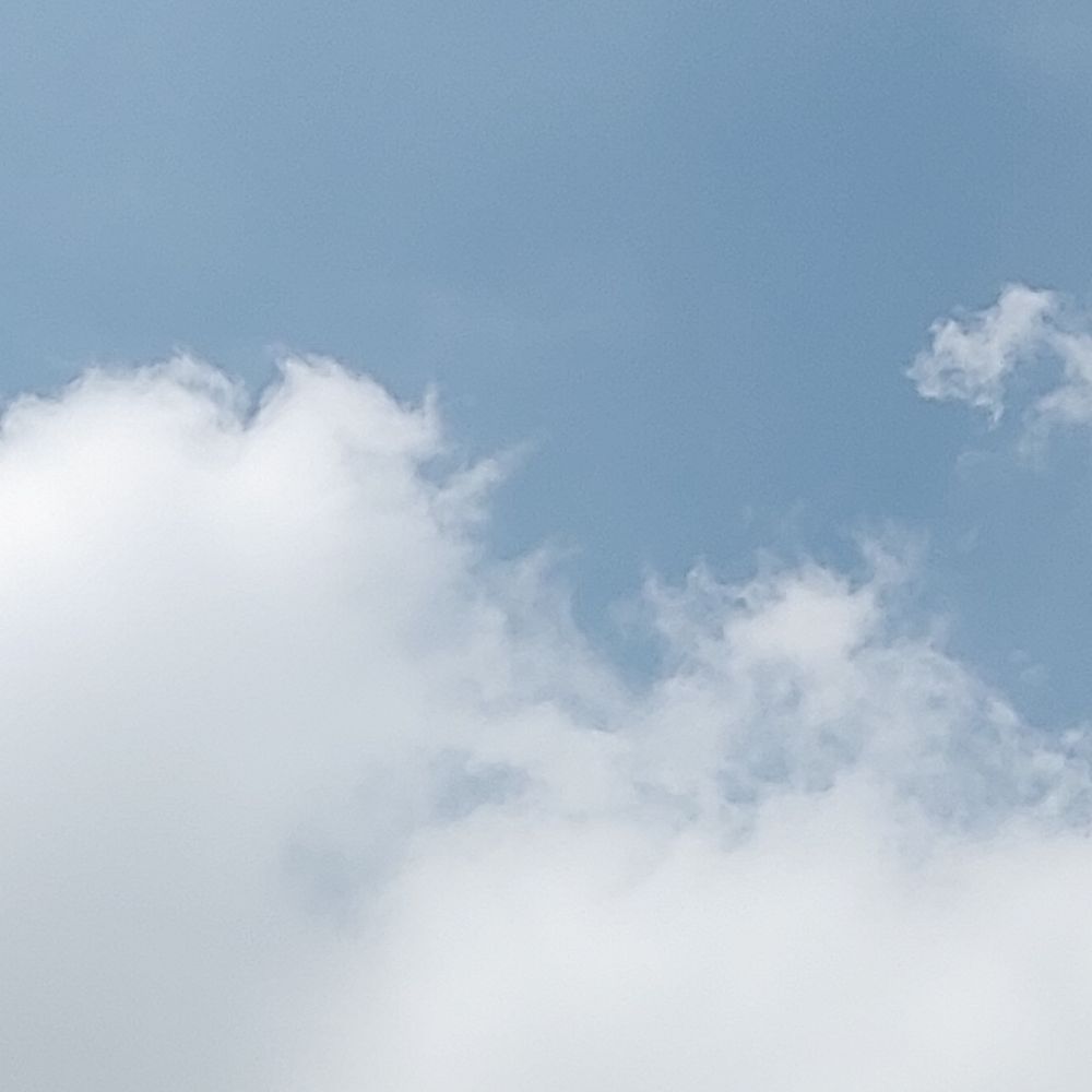 야호