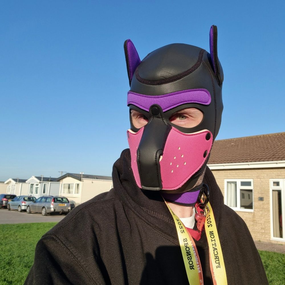 Pink Puppy Echo 