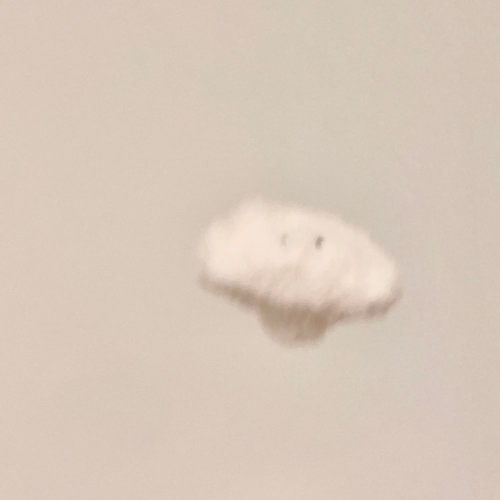 ぽち