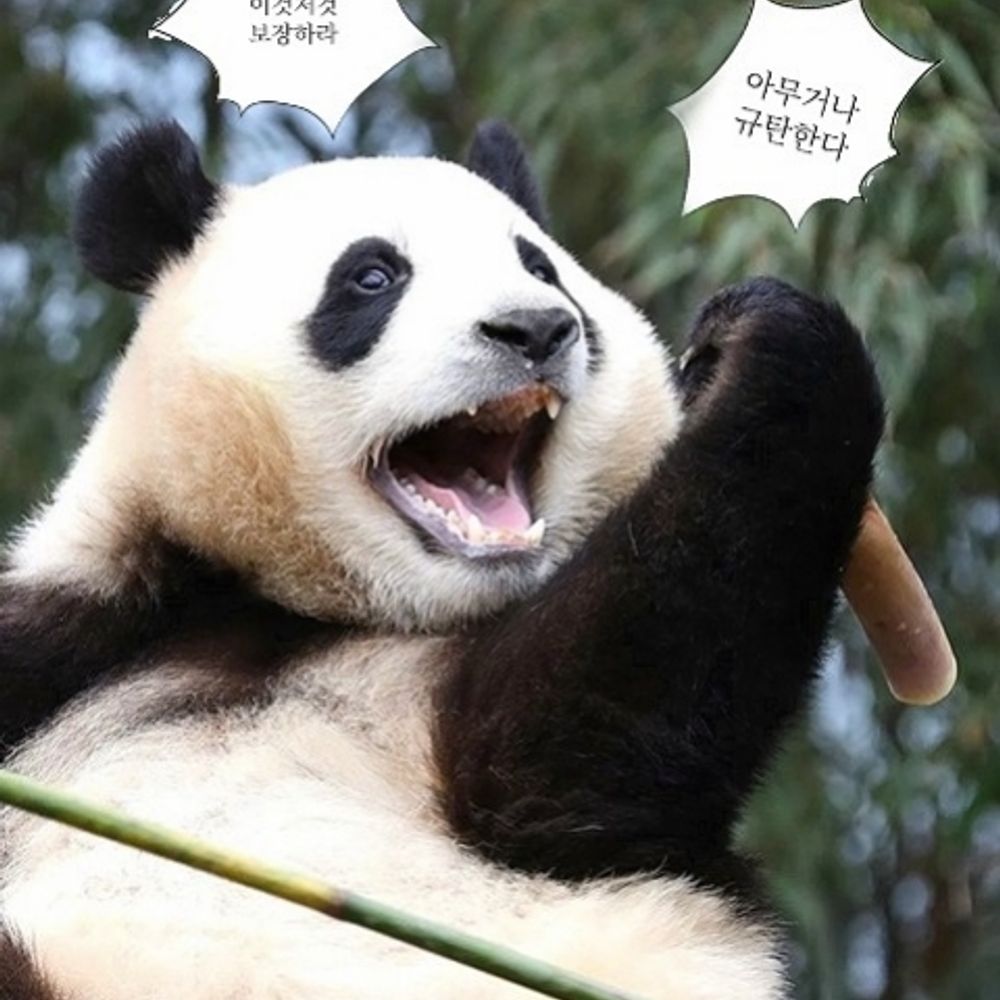 김무구