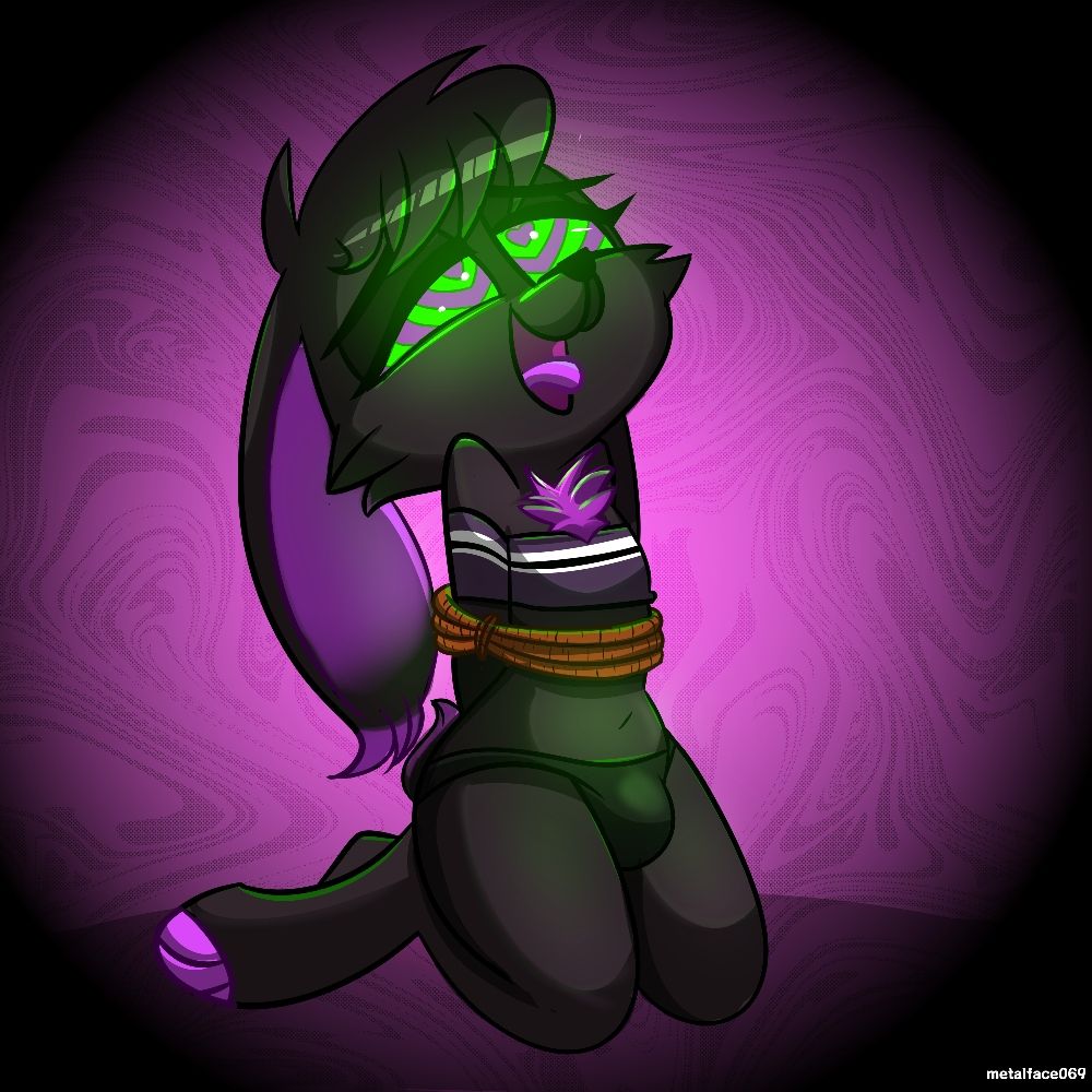 Nox The Cybunny