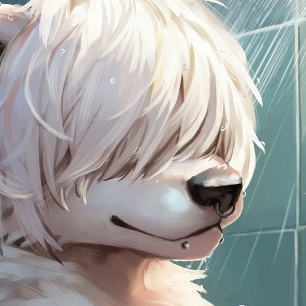 Kai 灰